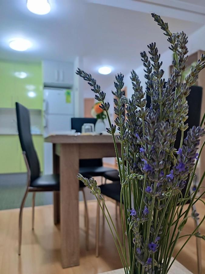 Apartamento Estrella De Teruel Luaran gambar